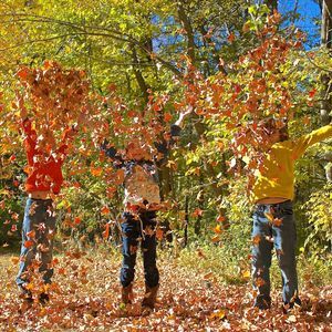 Meet your Posher, Holly